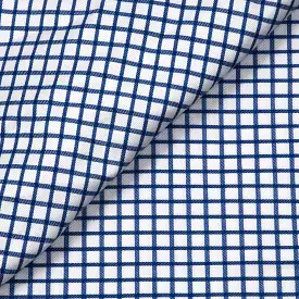 Blue Gingham Shirt