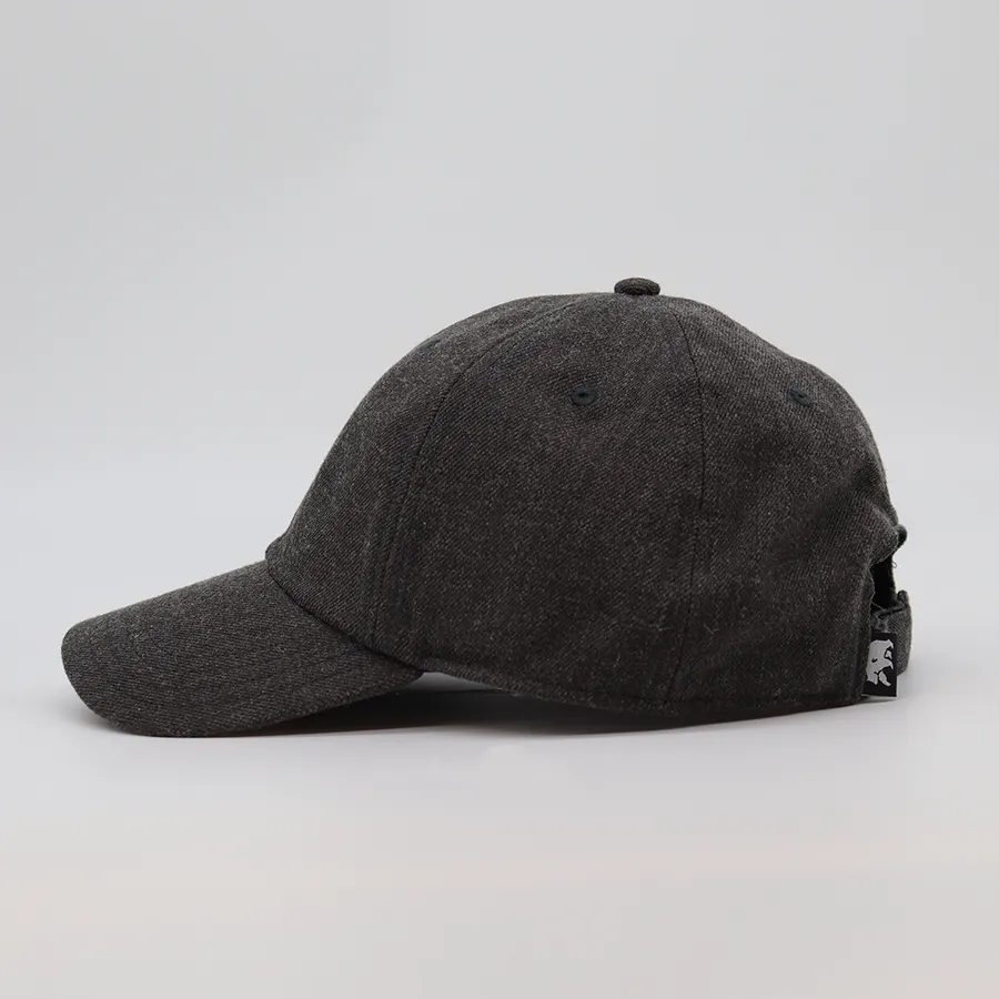 The Normal Brand | Canvas Activewear Cap