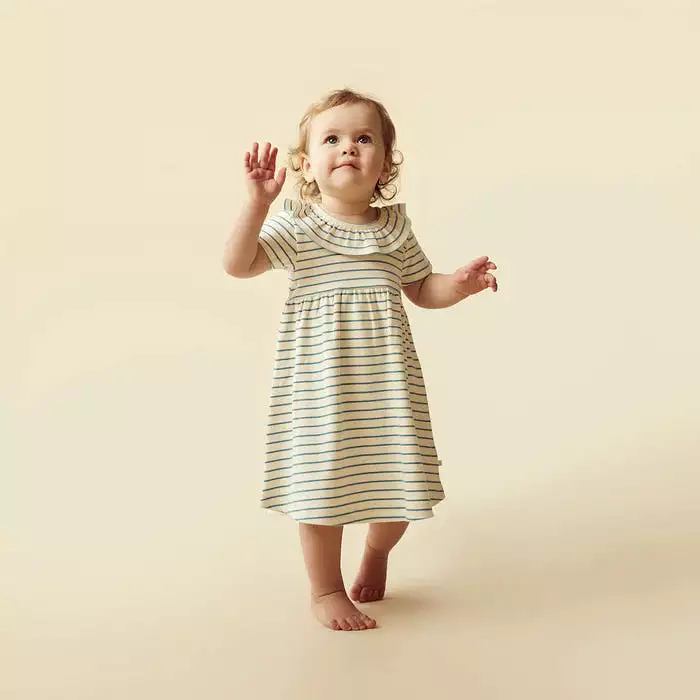 Wilson & Frenchy Petit Sage Organic Ruffle Dress